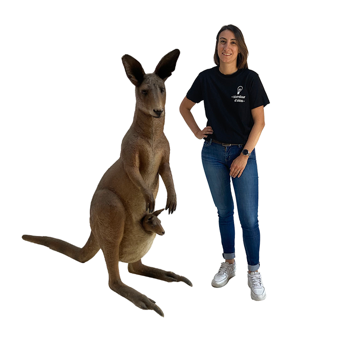 Kangourou et bébé - 140cm
