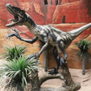 Dinosaure Vélociraptor - 182cm