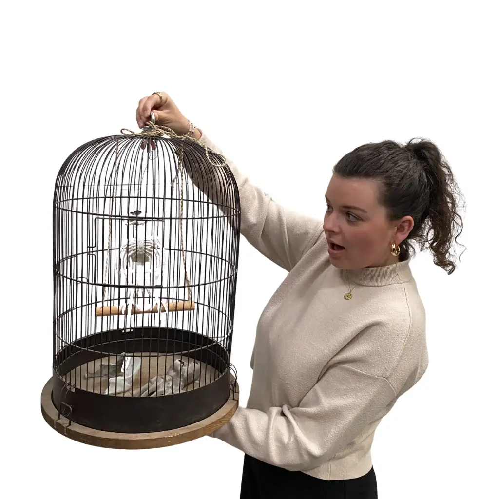Squelette oiseau en cage