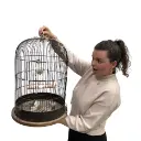 Squelette oiseau en cage