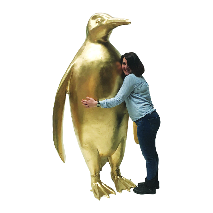 Pingouin coloré - 220cm
