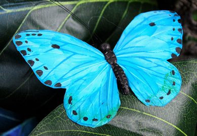 Papillon bleu - 20cm