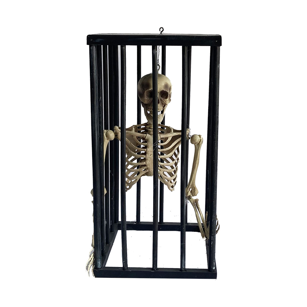 Cage avec os
