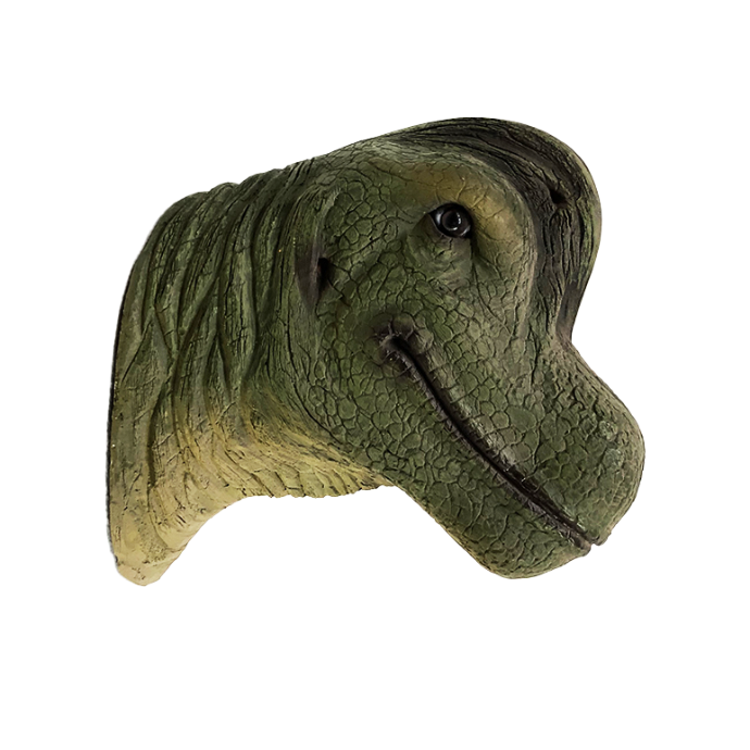 Tête de Brontosaure - 40cm