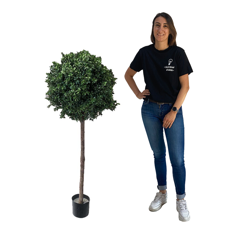 Arbre buis boule - 120/150cm