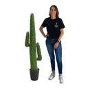 [locfar124] Cactus - 145cm