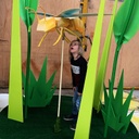 Abeille origami + alvéoles