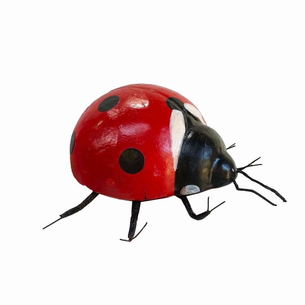 Coccinelle - 20cm