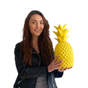 Ananas - 40cm