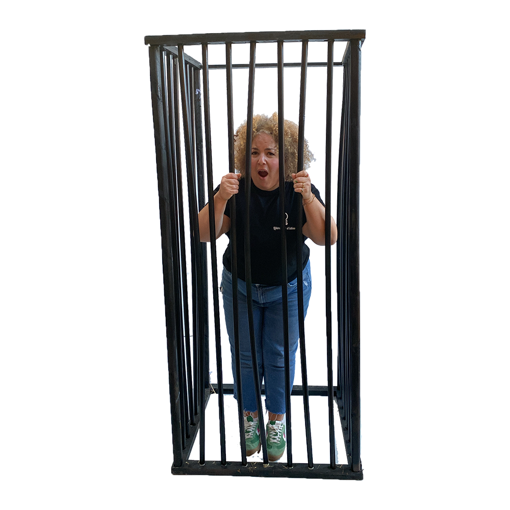 Cage pour photocall - 200cm