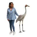 [locani37] Oiseau grue - 150cm