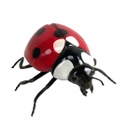 Coccinelle - 47cm