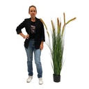 [locveg30] Herbe haute - 150cm