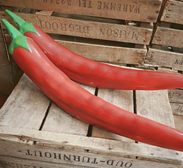 Piment rouge - 70cm