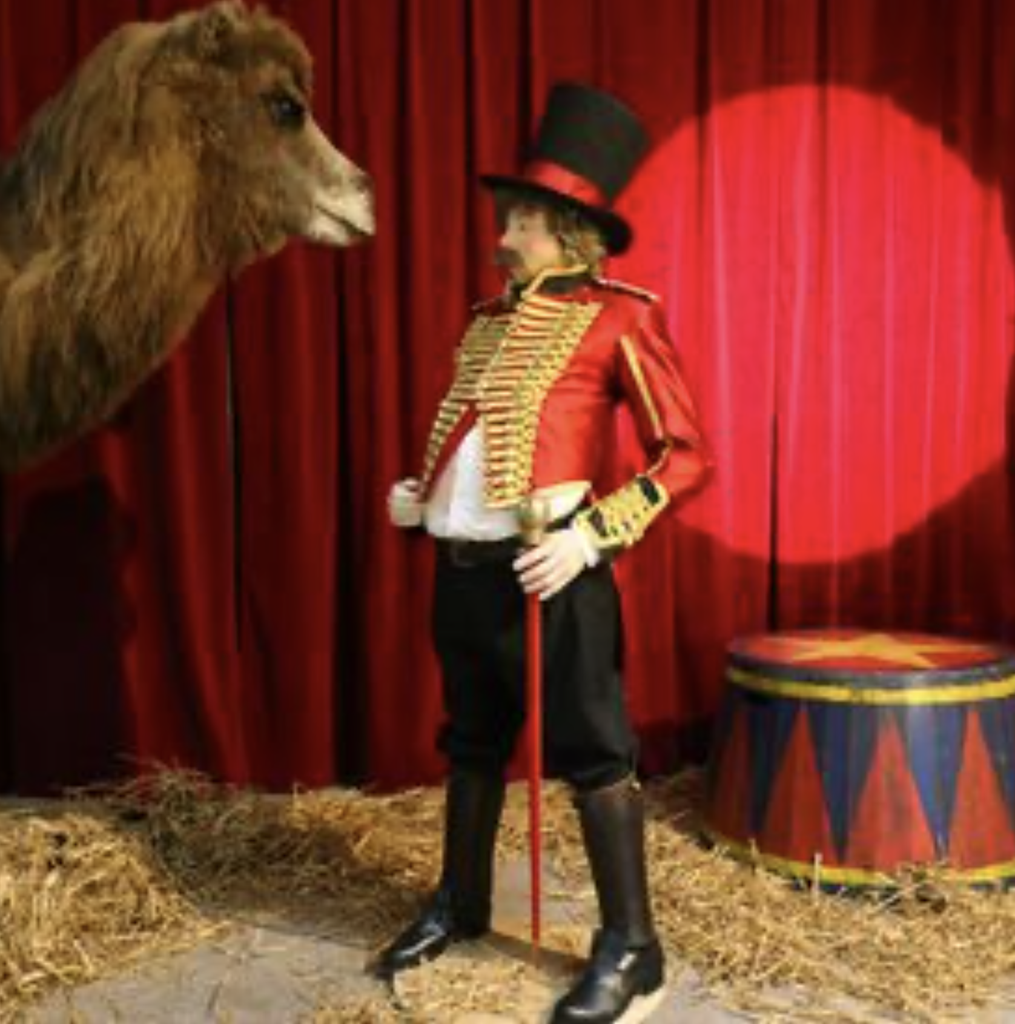 Monsieur Loyal - 173cm