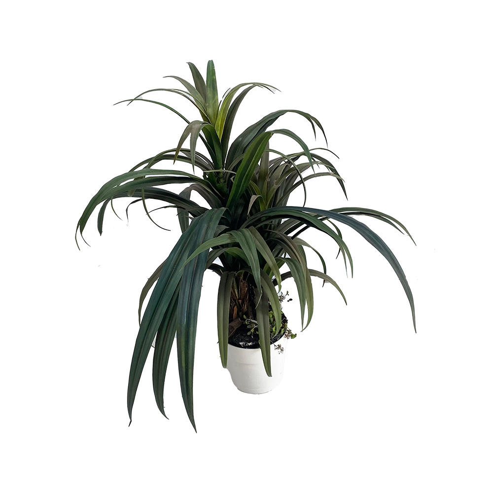Plante en pot - 110cm