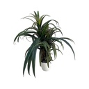 Plante en pot - 110cm