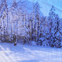 Fond photo forêt enneigée