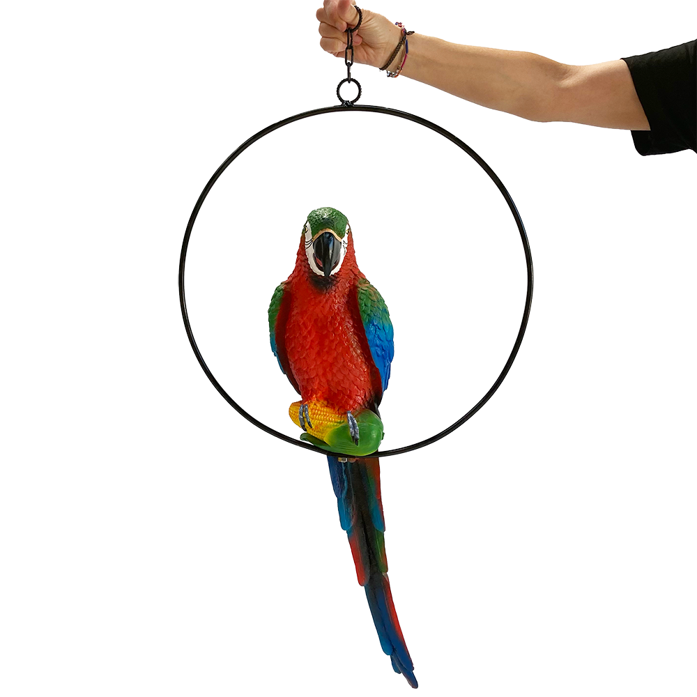 Perroquet naturel à suspendre - 70 cm