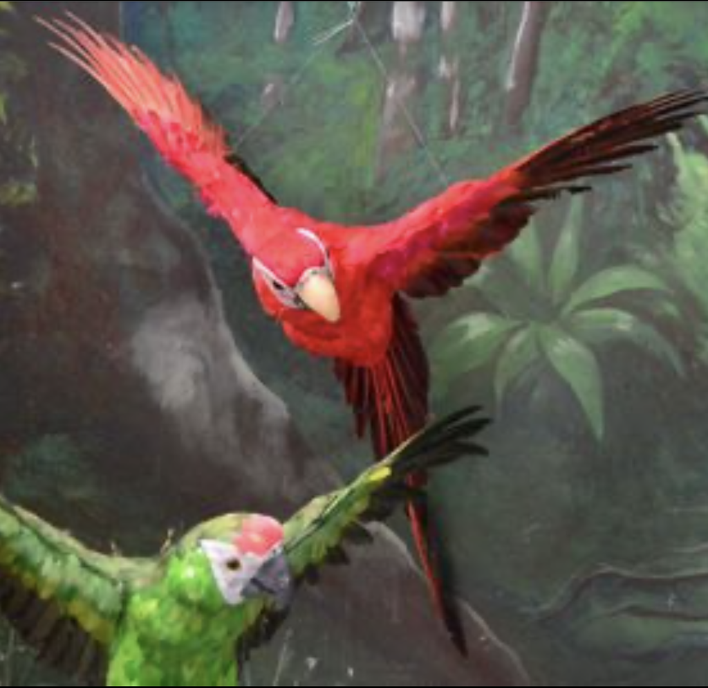 Perroquet volant - 75cm