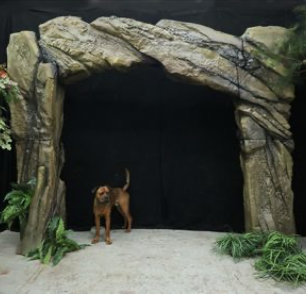 Entrée de grotte - 275cm