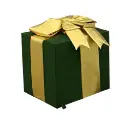 Cadeau de Noël vert sapin