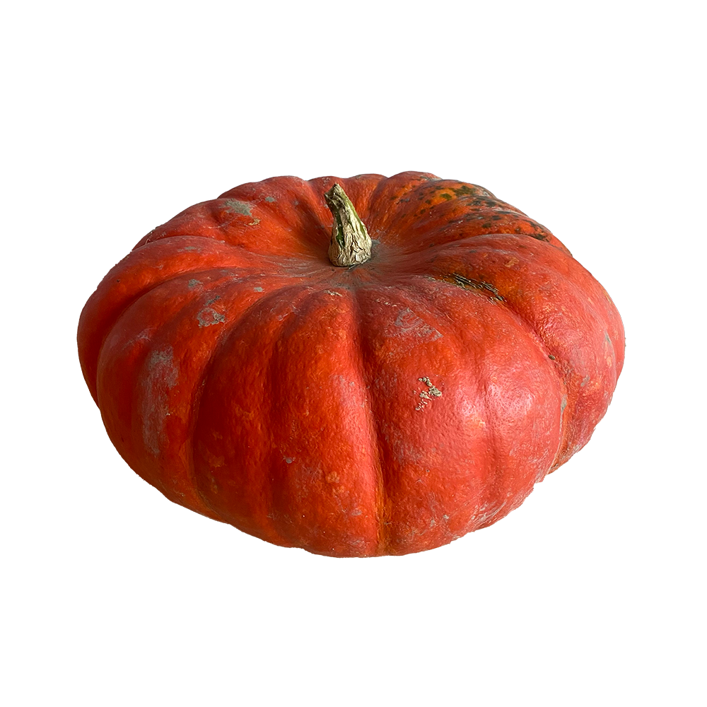 Citrouille naturelle