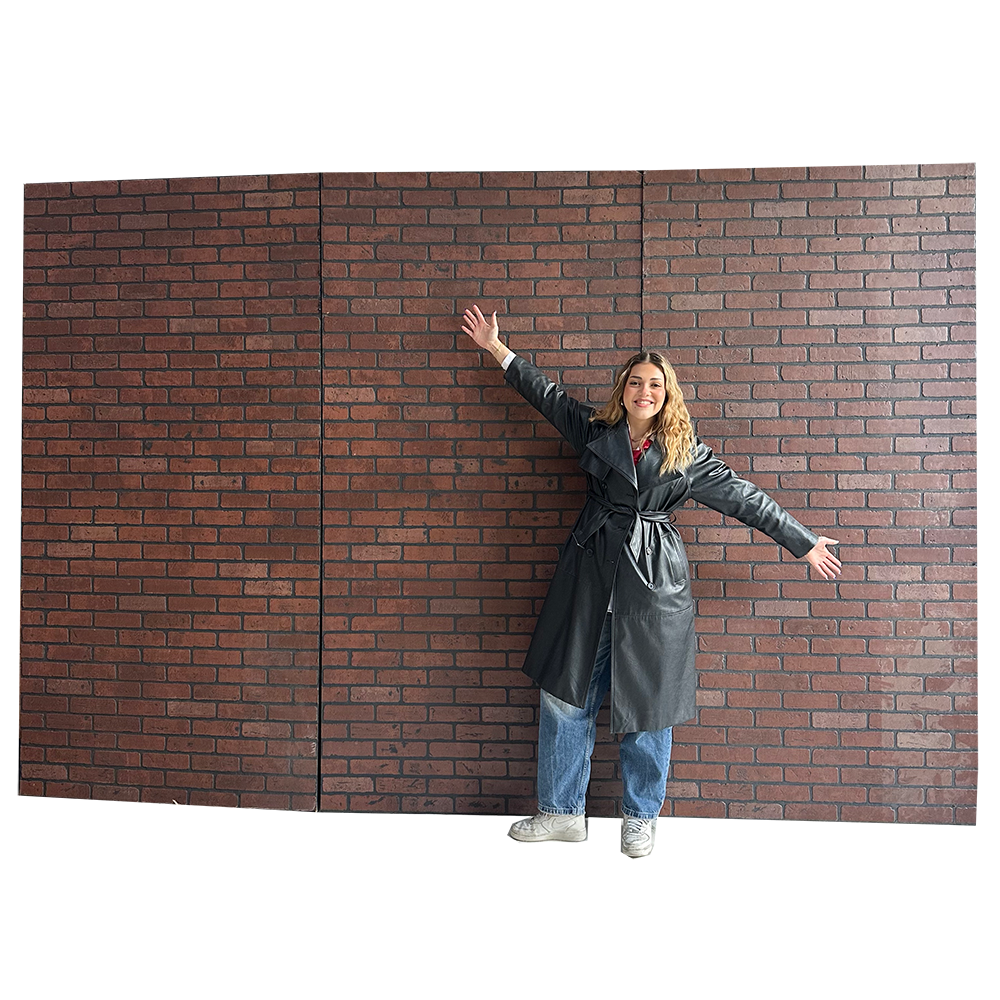 Mur effet brique - 250cm