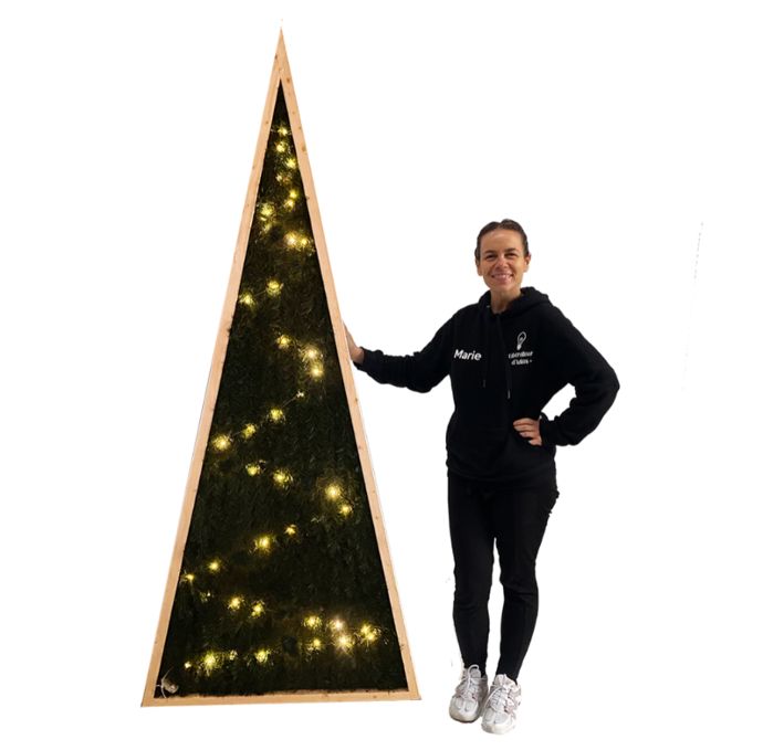 Sapin vert 2D lumineux - 220cm