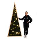 Sapin vert 2D lumineux - 220cm