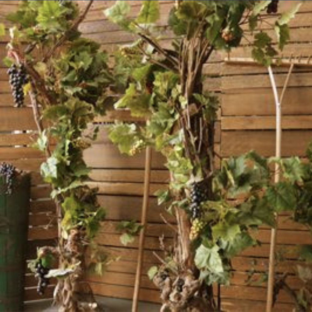 Vigne - 220cm