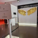 Photocall ailes d'ange - 2m