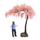 Cerisier sur rocher - 350cm