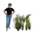 Kit végétation basse - Classique