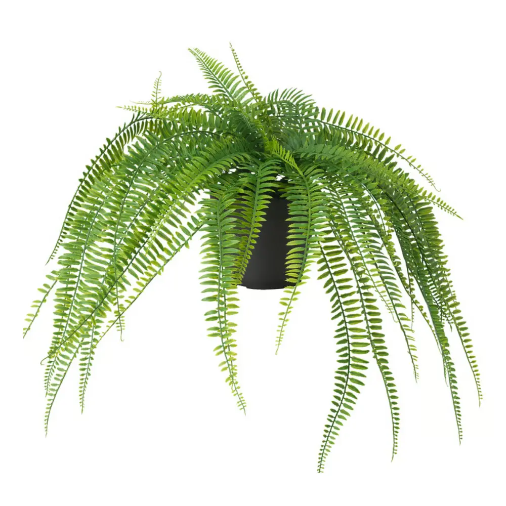 Plante fougère - 45cm