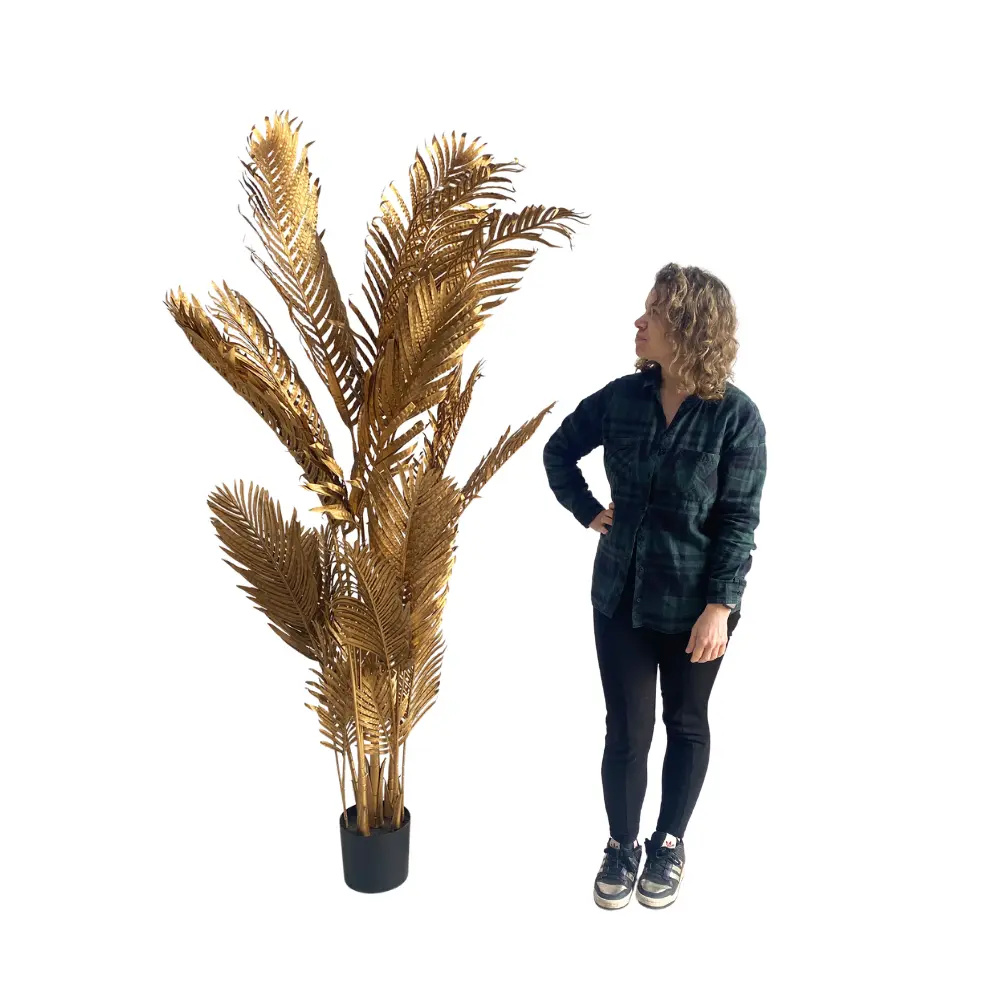 Palmier Areca doré - 200cm