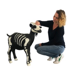 [lochal46] Chèvre squelette - 80cm