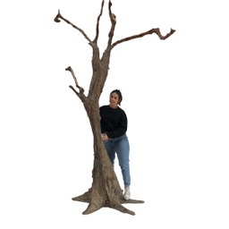 [locfar44] Arbre sans vie - 280cm