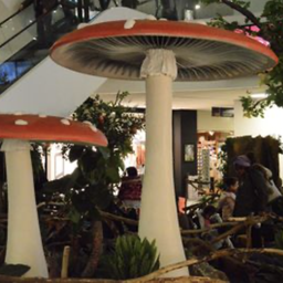 [locpaq3] Champignon rouge et blanc - 250 à 290cm