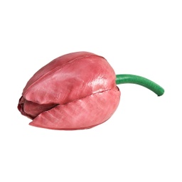 [locfle1] Bouton de tulipe rose - 40cm