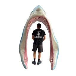 [locpla17] Bouche de requin - 235cm