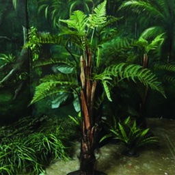 [locpré5] Plante fougère - 170cm