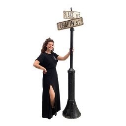 [locnew3] Panneaux de rue "Lake Av." - 235cm