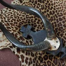 [locafr19] Cornes d'antilope - 65cm