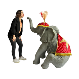 [loccir7] Eléphant de cirque - 145cm