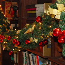 [locnoe25] Guirlande de Noël lumineuse - 270cm