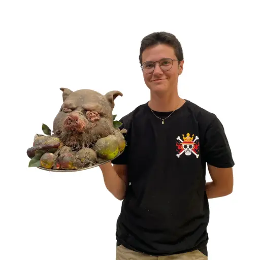 [lochor108] Tête cochon  - 24cm