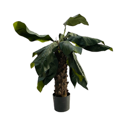 [locjun32] Plante - 140cm