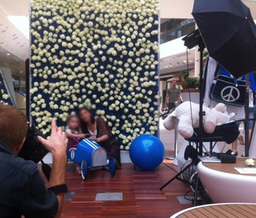 [anipho1] Photocall roses