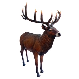 [locfor4] Cerf marron - 200cm